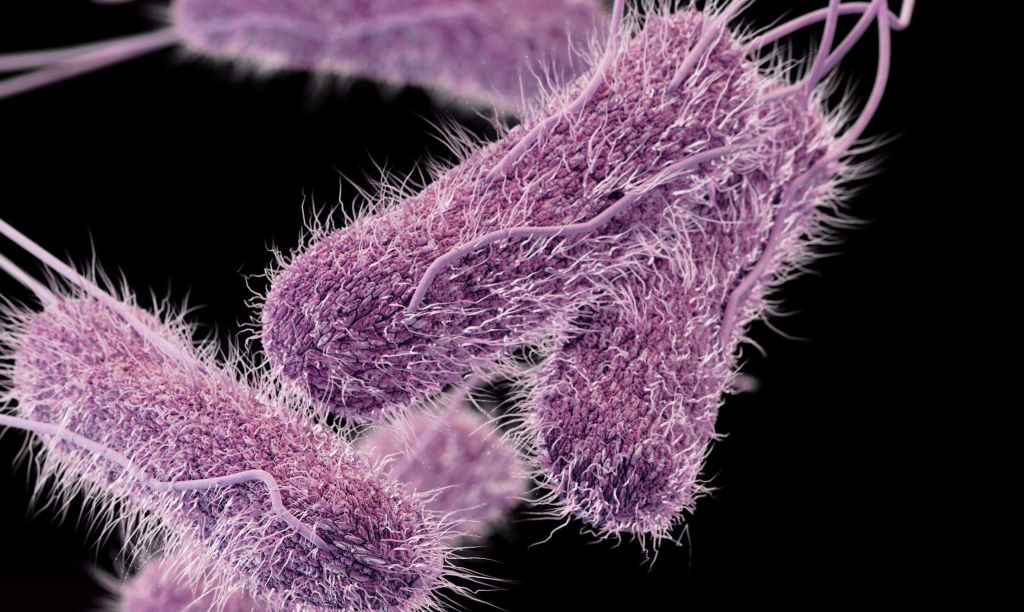 الرئيسية 35 كيف نحد من انتشار السلالات المقاومة للأدوية خلال الصناعات الدوائية؟